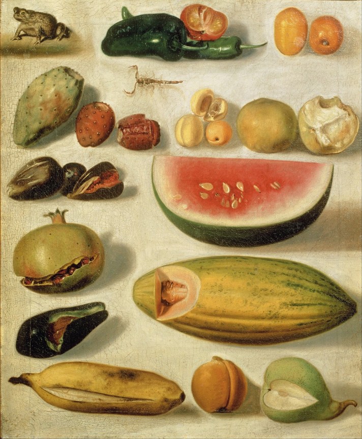Hermenegildo_Bustos_-_Still_life_with_fruit_(with_scorpion_and_frog)_